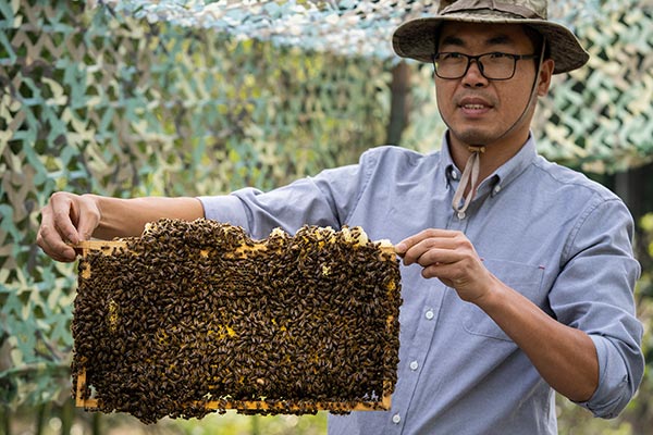 杭州公墓行业助力中华慈善日，径山竹茶园公墓大爱无垠！