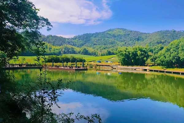 杭州径山竹茶园公墓：自然与文化交融的生态墓园景观
