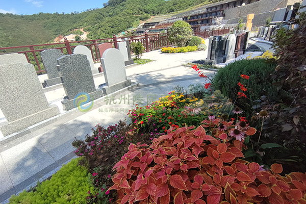 杭州陵园迁坟仪式中为何需要摆案上香与祭祖烧钱？