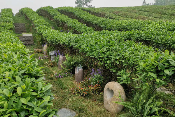 2026杭州墓园清明价格全攻略：生态到高端，帮你省钱又选对